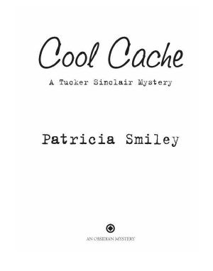 [Tucker Sinclair 04] • Cool Cache